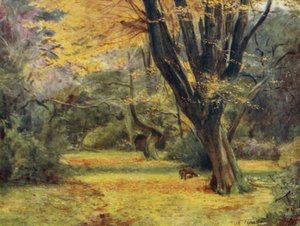 The New Forest: Maples, poblíž Queen