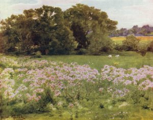 The New Forest: Riversdale, Boldre (barva lito) od Walter Frederick Roofe Tyndale