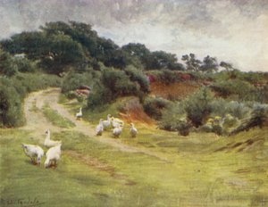 The New Forest: Royden Common, poblíž Brokenhurst (barevné lito) od Walter Frederick Roofe Tyndale
