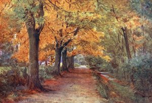Wessex: Bockhampton Bank, nedaleko Dorchesteru (barevná litografie) od Walter Frederick Roofe Tyndale