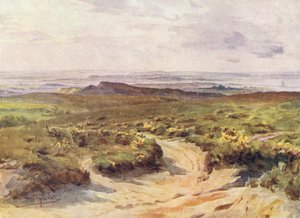 Wessex: Studland Heath, v dálce přístav Poole (barevná litografie)