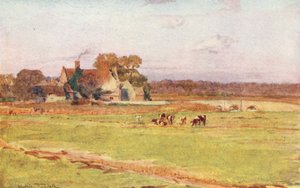 Wessex: Wool Manor House (barevná litografie) od Walter Frederick Roofe Tyndale