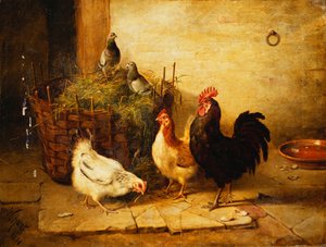 Drůbež a holubi v interiéru od Walter Hunt
