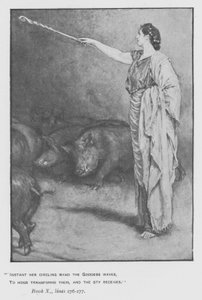 Ilustrace k Pope