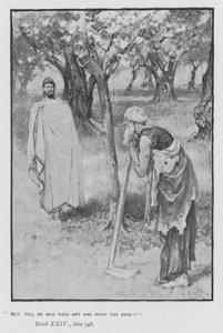 Ilustrace k Pope