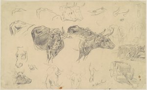 Studie Oxen od Walter Shirlaw