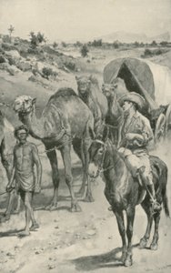 Camel-Caravan, západní Austrálie od Walter Stanley Paget