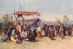 Nový Zéland: Native Gathering (barevná litografie)