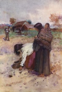 Nový Zéland: Sázení brambor (barevná litografie)