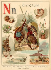 Písmeno N (chromolitho)