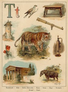 Písmeno T (chromolitho) od Walter Zweigle