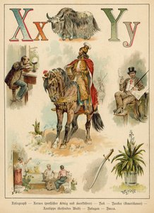 Písmeno X a písmeno Y (chromolitho)