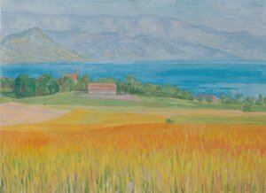 Kornfeld am Attersee od Walther Gamerith