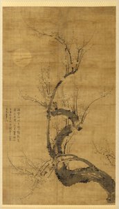 Prunus v měsíčním světle od Wang Mian