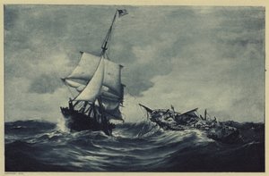 Vosa a dovádění (litho) od Warren Sheppard