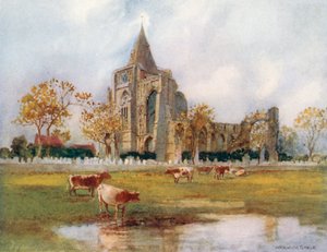  od Warwick (after) Goble