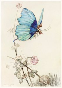 Motýl vzal křídlo a vznesl se do vzduchu s malým Tomem na zádech, z Knihy víl, 1 od Warwick Goble