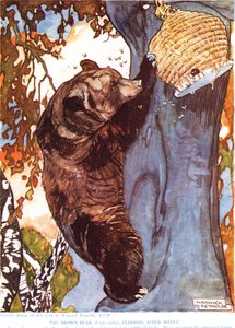 Medvěd hnědý (Ursus arctos), šplhající po medu, ilustrace z 