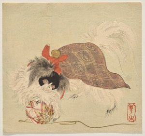 Japonský bradáč ve fialovém plášti, hraje si s míčem z hedvábné nitě
