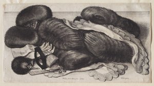  od Wenceslaus Hollar