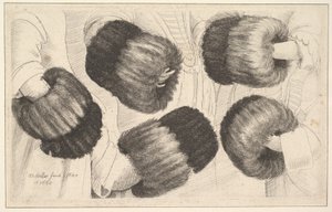 Muff v pěti pohledech, 1645-46. od Wenceslaus Hollar