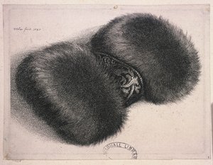 Velký rukávník s brokátovým páskem, 1647 od Wenceslaus Hollar