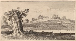 Albury od Wenceslaus Hollar