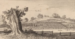 Albury, 1645. od Wenceslaus Hollar