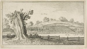 Albury s pařezem v popředí od Wenceslaus Hollar