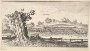 Albury s pařezem v popředí, 1625-77. od Wenceslaus Hollar