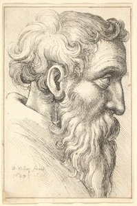  od Wenceslaus Hollar