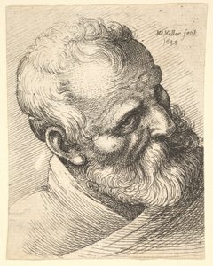 Vousatý stařec se skloněnou hlavou od Wenceslaus Hollar