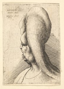 Busta zdeformované stařeny s jedním zubem, obrácená vlevo, 1665. od Wenceslaus Hollar