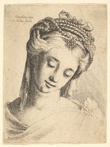 Busta mladé ženy s komplikovanou čelenkou, dívající se dolů., 1625-77. od Wenceslaus Hollar