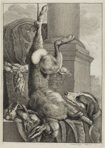 Mrtvý zajíc od Wenceslaus Hollar