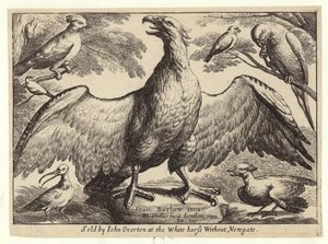 Orel a další ptáci od Wenceslaus Hollar