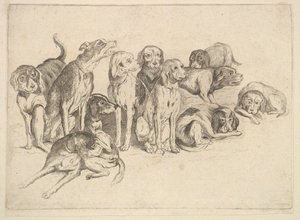  od Wenceslaus Hollar