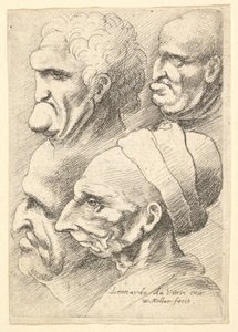 Čtyři groteskní hlavy z profilu vlevo, 1625-77. od Wenceslaus Hollar