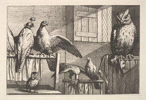 Jestřábi a sovy, 1625-77. od Wenceslaus Hollar