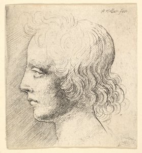 Hlava mladého muže od Wenceslaus Hollar