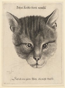  od Wenceslaus Hollar