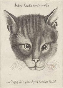 Hlava kočky od Wenceslaus Hollar