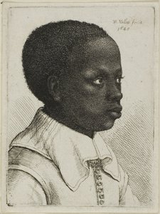 Hlava mladého černocha z profilu vpravo od Wenceslaus Hollar