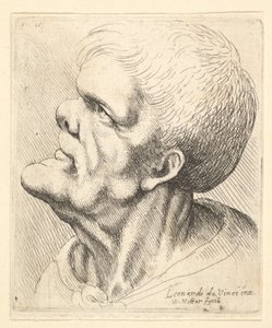 Hlava muže s vyčnívající bradou a tupým nosem hledícím nahoru z profilu vlevo, 1625-77. od Wenceslaus Hollar