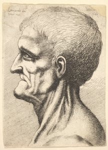 Hlava bezzubého muže s holým, šlachovitým krkem z profilu vlevo, 1648. od Wenceslaus Hollar