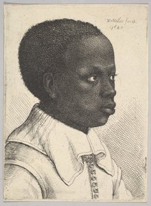 Hlava mladého černého chlapce z profilu vpravo, 1645. od Wenceslaus Hollar
