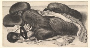  od Wenceslaus Hollar