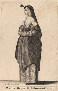 Šlechtická žena z Kolína, 1643 od Wenceslaus Hollar