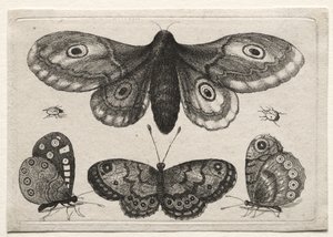  od Wenceslaus Hollar