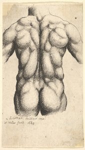 Nahé mužské torzo při pohledu zezadu, 1645. od Wenceslaus Hollar